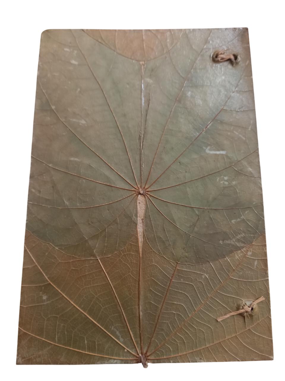 Real Leaf Organic Notebook Vegan Journal Eco Friendly Handicraft Sustainable Diary with Handmade Paper