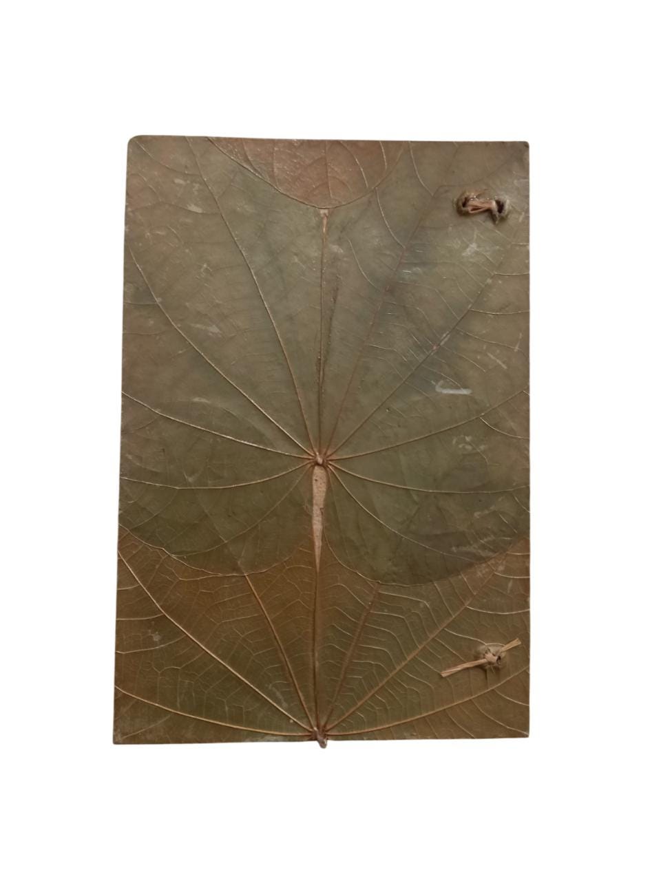 Real Leaf Organic Notebook Vegan Journal Eco Friendly Handicraft Sustainable Diary with Handmade Paper