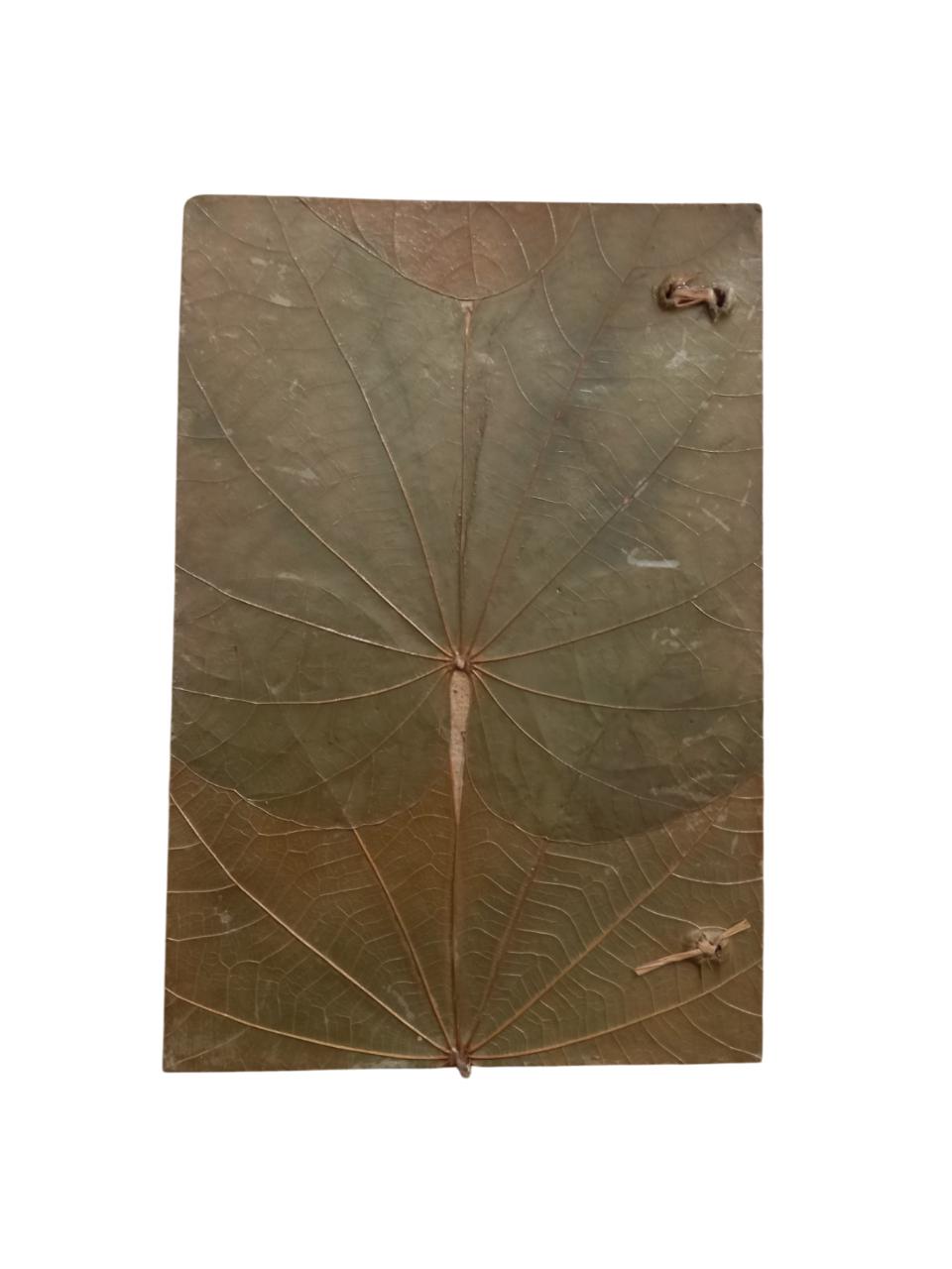 Real Leaf Organic Notebook Vegan Journal Eco Friendly Handicraft Sustainable Diary with Handmade Paper